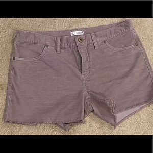 Carve Design Oahu Shorts